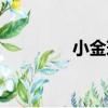 小金球（關于小金球簡介）
