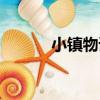 小鎮物語（關于小鎮物語簡介）