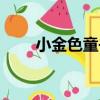 小金色童書（關于小金色童書簡介）
