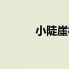 小陡崖村（關于小陡崖村簡介）