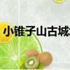 小錐子山古城址（關于小錐子山古城址簡介）