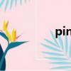 pinlite 官網（pinlite）