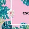 csdn首頁（csdn首頁）