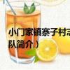 小門家鎮寨子村志愿服務隊（關于小門家鎮寨子村志愿服務隊簡介）