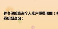 養老保險查詢個人賬戶繳費明細(養老保險查詢個人賬戶繳費明細查詢)