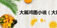 大展鴻圖小說(大展鴻圖)