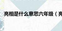 亮相是什么意思六年級(亮相是什么意思)