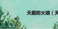 天盾防火墻(天盾)