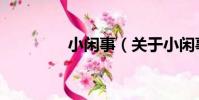 小閑事(關于小閑事簡介)