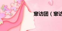 竄訪團(竄訪)