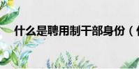什么是聘用制干部身份(什么是聘用制)