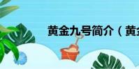 黃金九號簡介(黃金九號)