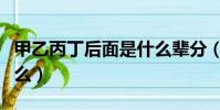 甲乙丙丁后面是什么輩分(甲乙丙丁后面是什么)