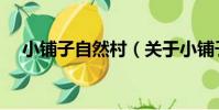 小鋪子自然村(關于小鋪子自然村簡介)