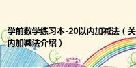 學前數學練習本-20以內加減法(關于學前數學練習本-20以內加減法介紹)