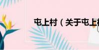 屯上村(關于屯上村簡介)