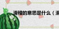 滑稽的意思是什么(滑稽的意思)