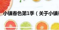 小鎮春色第1季(關于小鎮春色第1季簡介)
