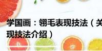 學國畫:翎毛表現技法(關于學國畫:翎毛表現技法介紹)