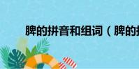 脾的拼音和組詞(脾的拼音和組詞)