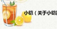 小鎧(關于小鎧簡介)