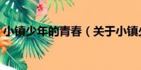 小鎮少年的青春(關于小鎮少年的青春簡介)