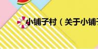 小鋪子村(關于小鋪子村簡介)