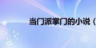 當門派掌門的小說(當門子)