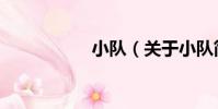 小隊(關于小隊簡介)