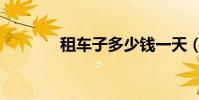租車子多少錢一天(租車子)