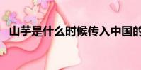 山芋是什么時候傳入中國的(山芋是什么)