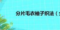 分片毛衣袖子織法(分片閾值)
