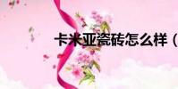 卡米亞瓷磚怎么樣(卡米亞)