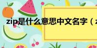 zip是什么意思中文名字(zip是什么意思)
