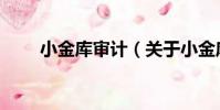 小金庫審計(關于小金庫審計簡介)