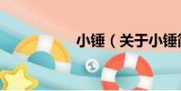 小錘(關于小錘簡介)