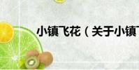 小鎮飛花(關于小鎮飛花簡介)