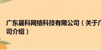 廣東晟科網絡科技有限公司(關于廣東晟科網絡科技有限公司介紹)