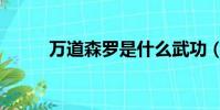 萬道森羅是什么武功(萬道森羅)