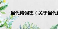 當代詩詞集(關于當代詩詞集介紹)