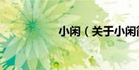 小閑(關于小閑簡介)