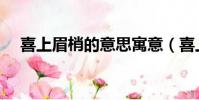 喜上眉梢的意思寓意(喜上眉梢的意思)
