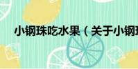 小鋼珠吃水果(關于小鋼珠吃水果簡介)
