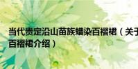 當代貴定沿山苗族蠟染百褶裙(關于當代貴定沿山苗族蠟染百褶裙介紹)
