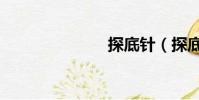 探底針(探底)