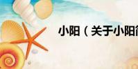 小陽(關于小陽簡介)