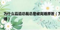 為什么霸道總裁總是被離婚原著(為什么霸道總裁總是被離婚)