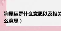 狗屎運是什么意思以及相關解釋(狗屎運是什么意思)