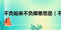 不負如來不負卿意思是(不負如來不負卿意思)