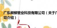 廣東昶柳管業科技有限公司(關于廣東昶柳管業科技有限公司介紹)